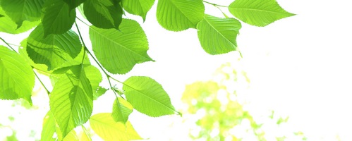 エデース(EDACE)販売サイトへ